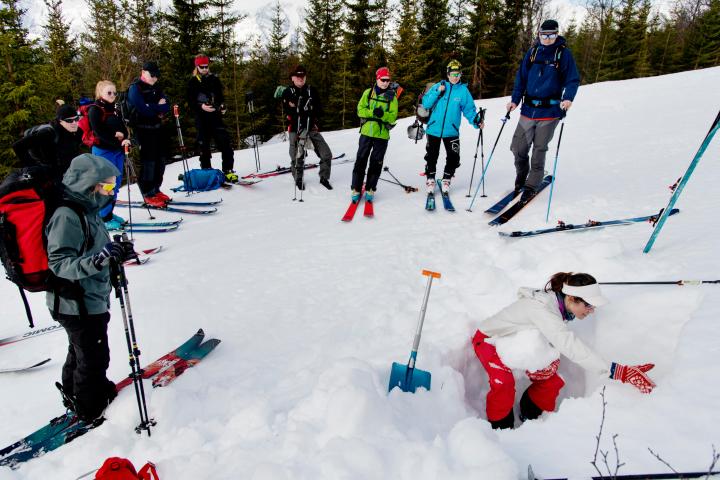 a group of people skiing on the snow